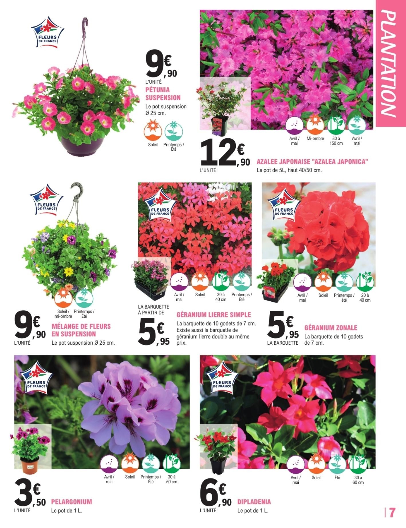 leclerc catalogue jardi - page 7