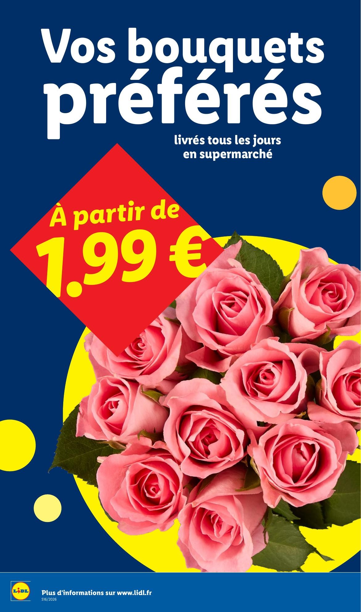 lidl catalogue lidl semaine prochaine - page 28