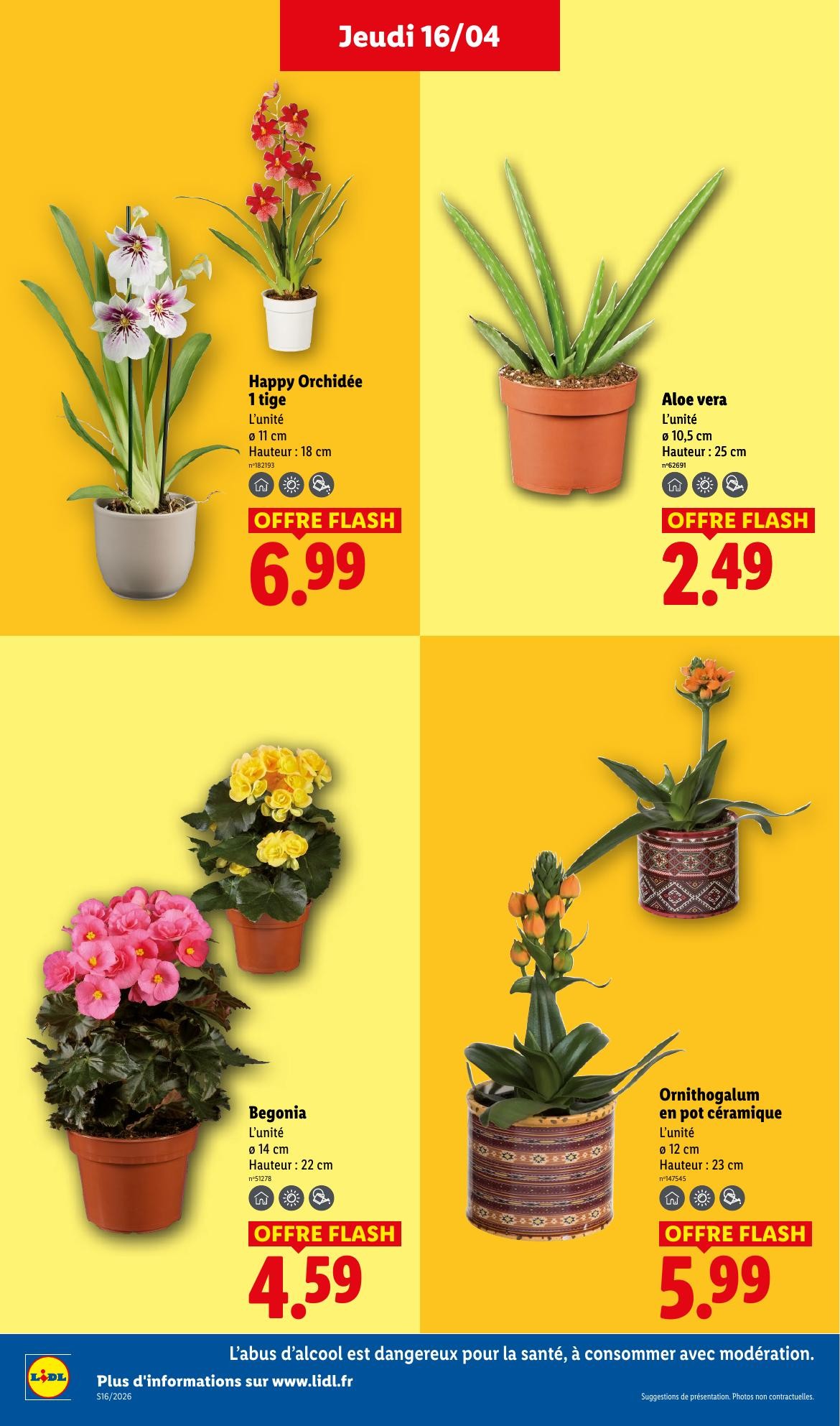 lidl promo lidl jeudi - page 26