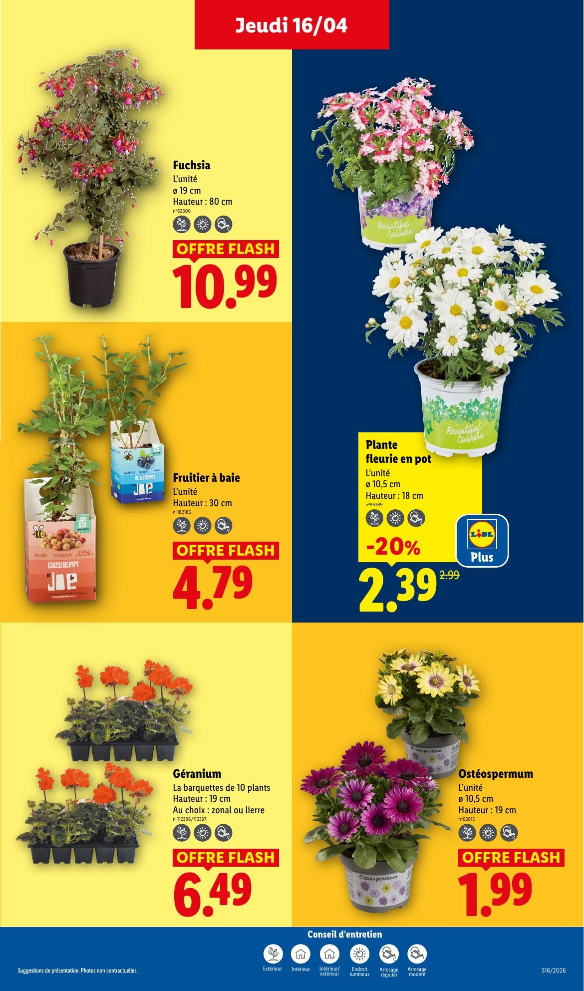 lidl promo lidl jeudi - page 27