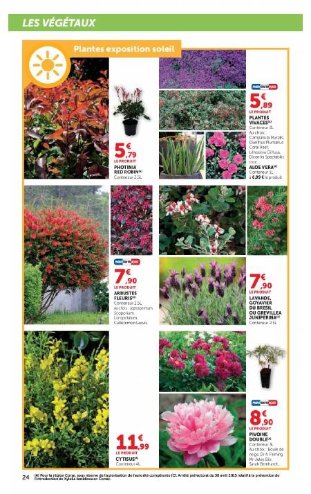 super u catalogue le jardin a prix bas - page 24