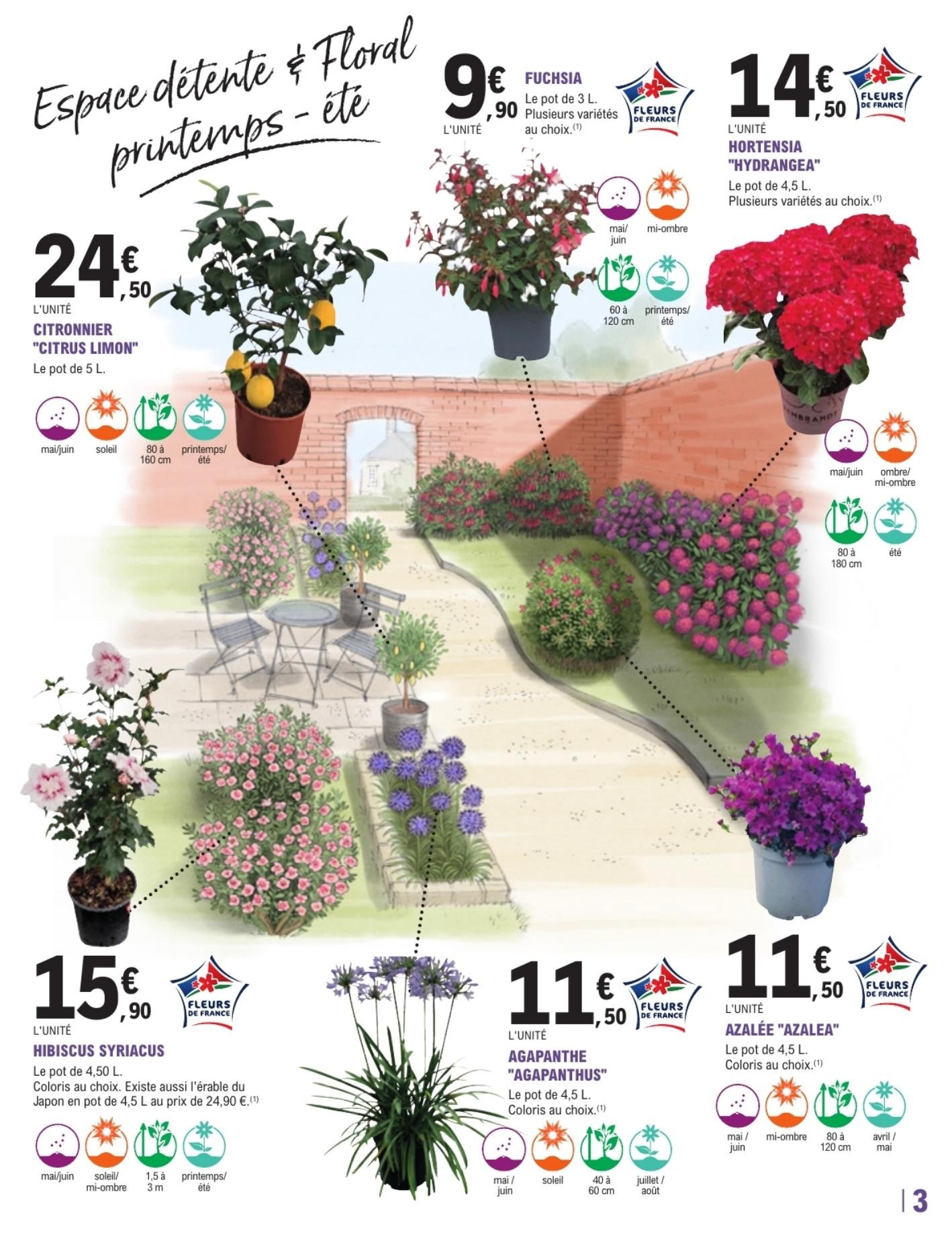 leclerc catalogue jardi - page 3