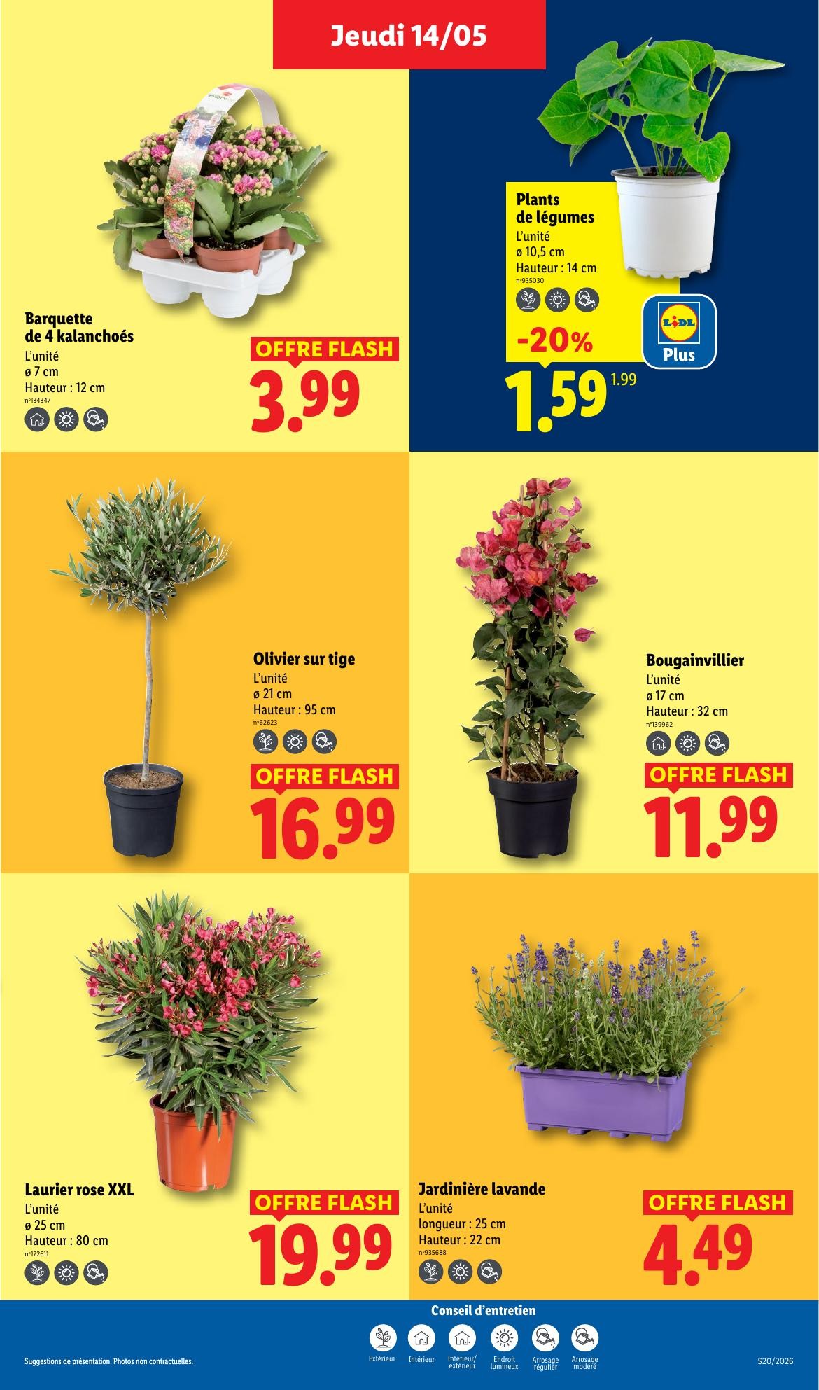lidl catalogue cette semaine - page 25