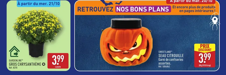 Gros chrysanthème et seau citrouille garni de bonbons à 3,99 euros chez Aldi